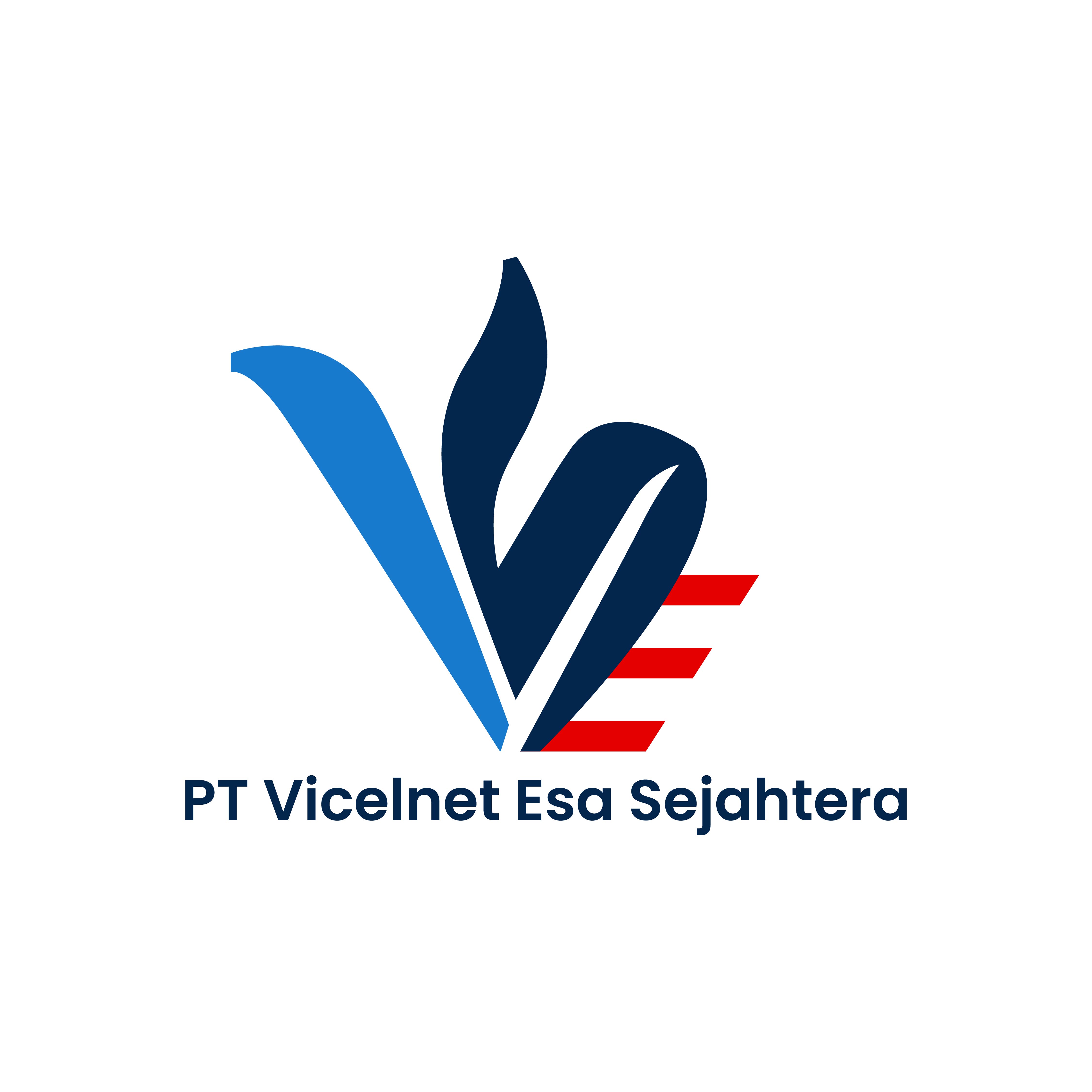 CEO Profile